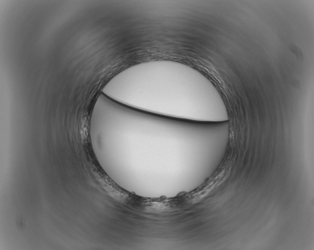 X0000112880285200908211058