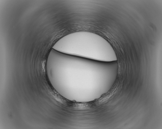 X0000112880286200908211058