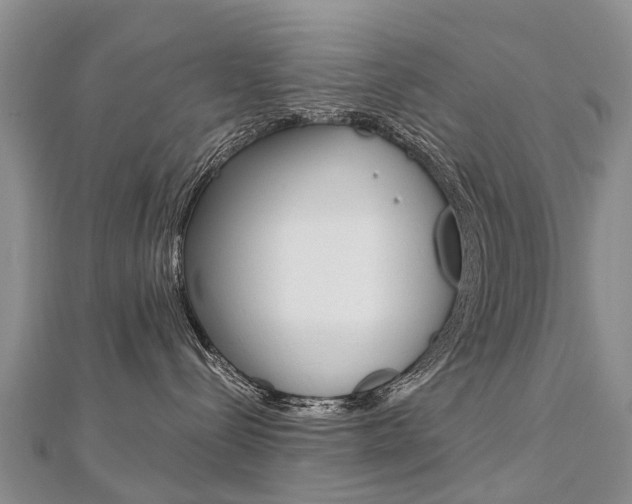 X0000112880288200908211058