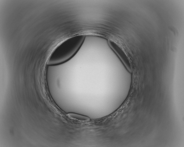 X0000112880289200908211057