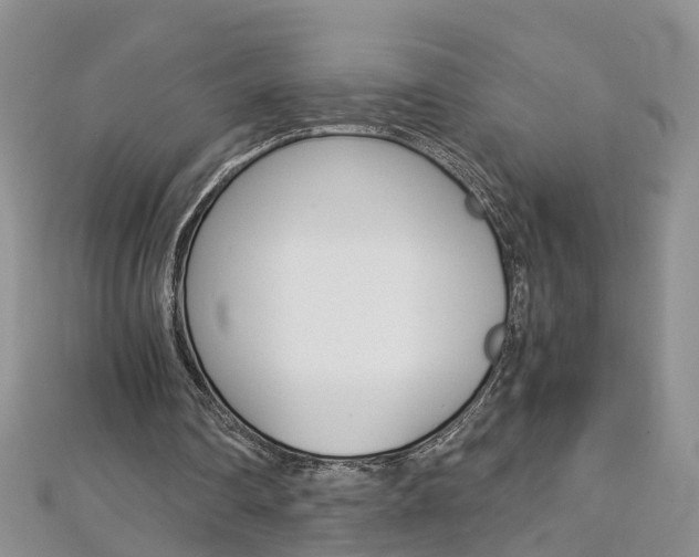 X0000112880290200908211057