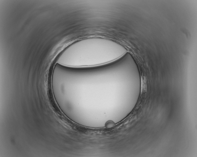 X0000112880291200908211057