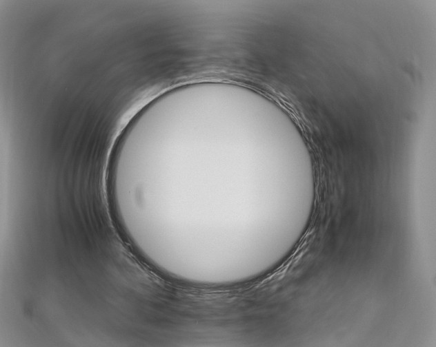 X0000112880292200908211057