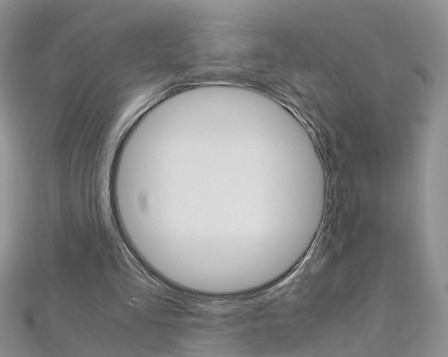 X0000112880293200908211057