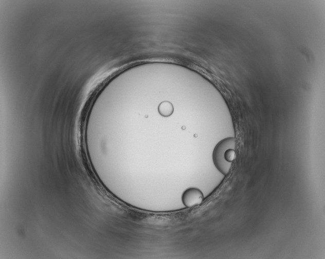 X0000112880294200908211057