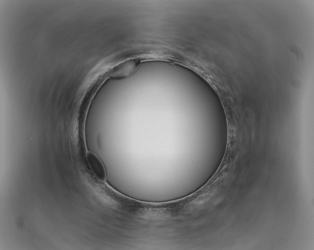 X0000112880296200908211057