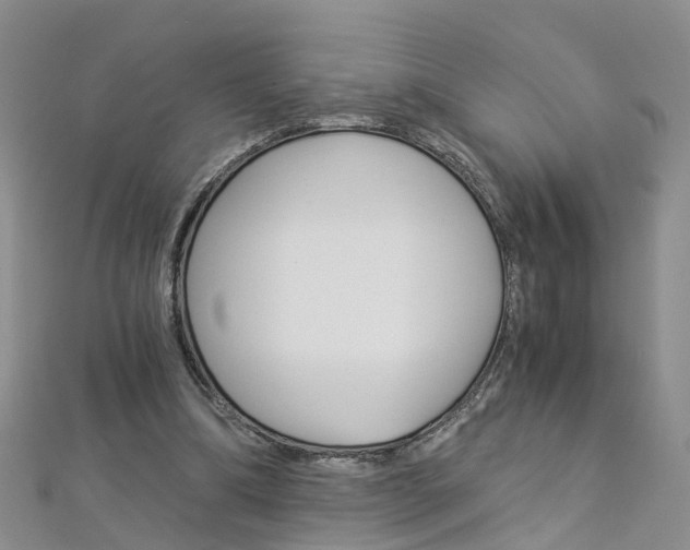 X0000112880298200908211057