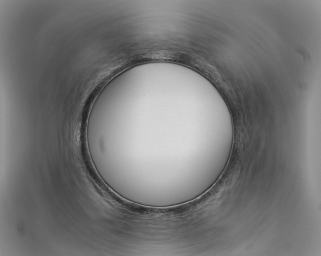 X0000112880299200908211057