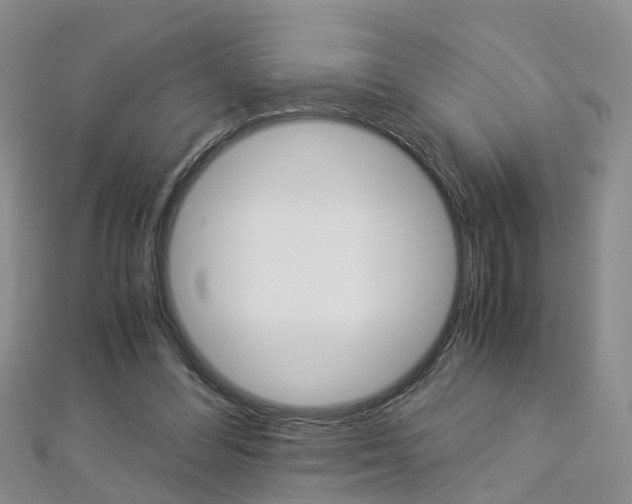 X0000112880300200908211057