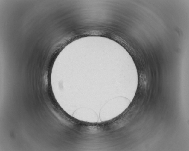 X0000112880302200908211057