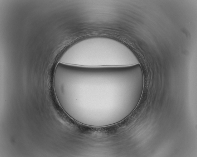 X0000112880303200908211057