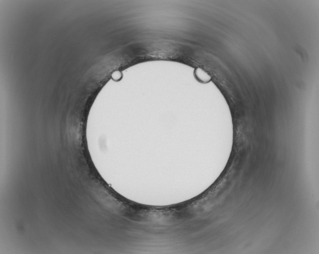 X0000112880305200908211057