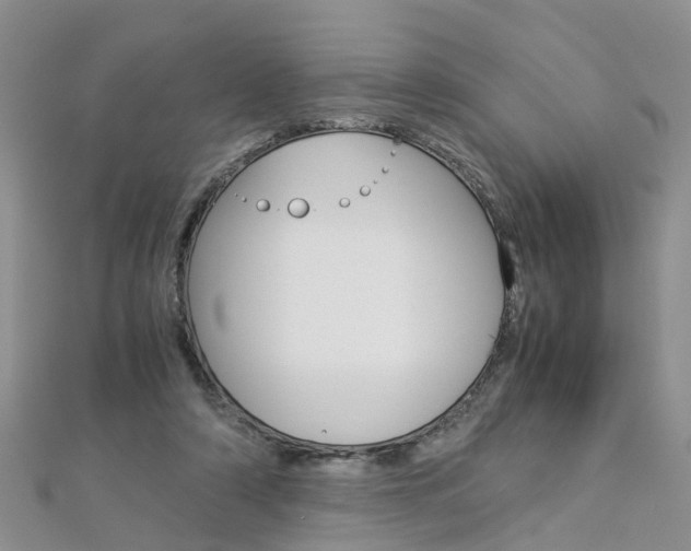 X0000112880306200908211057