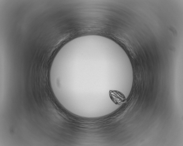 X0000112880308200908211057