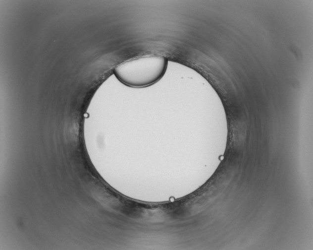 X0000112880309200908211057