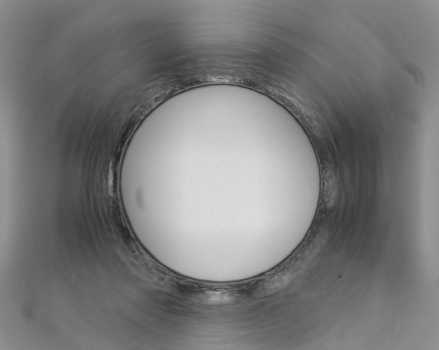 X0000112880310200908211057