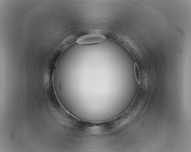 X0000112880312200908211057