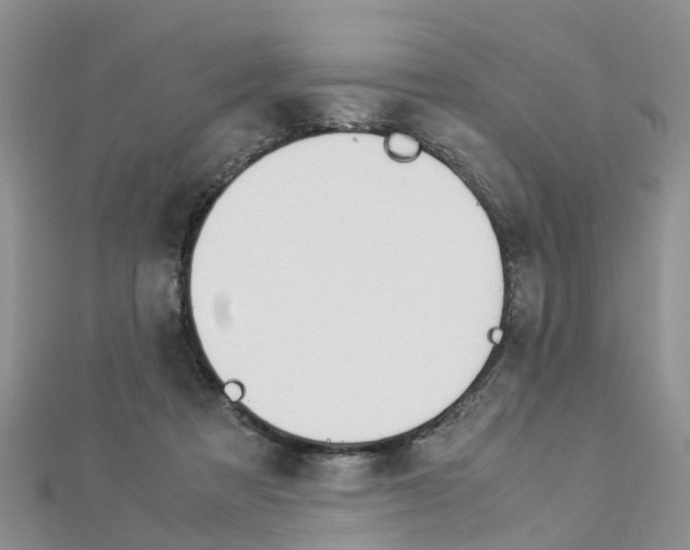 X0000112880313200908211057