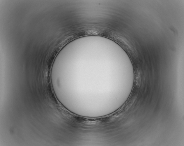 X0000112880314200908211057