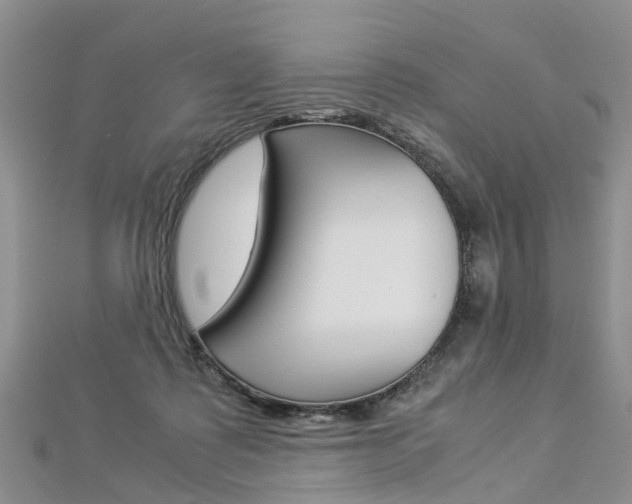 X0000112880315200908211057