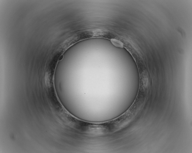 X0000112880316200908211057