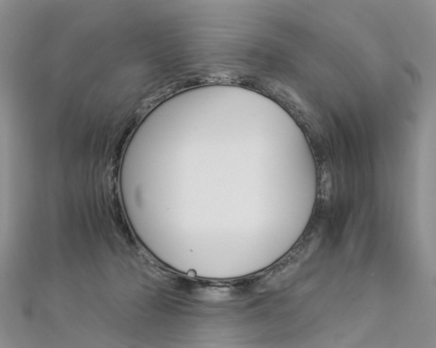 X0000112880318200908211057