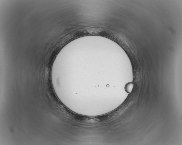 X0000112880321200908211057