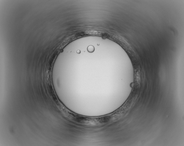 X0000112880322200908211057