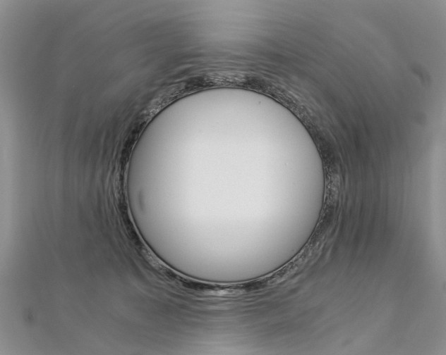 X0000112880323200908211057