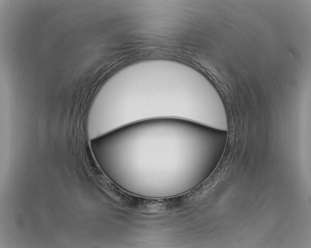 X0000112880325200908211057