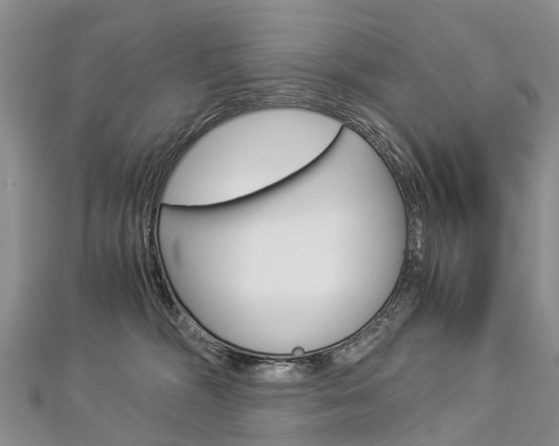 X0000112880326200908211057