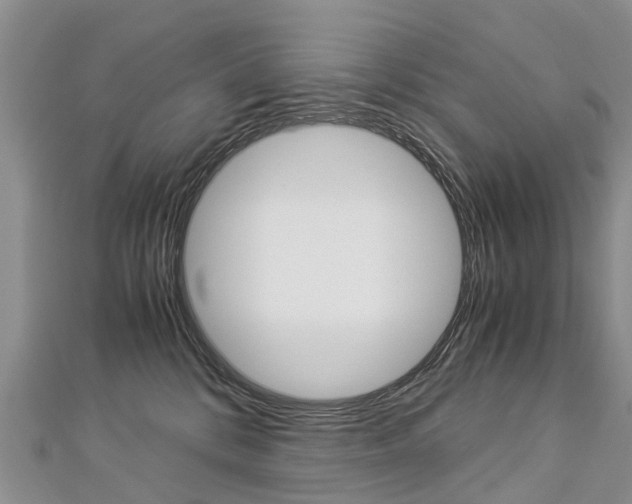 X0000112880328200908211057