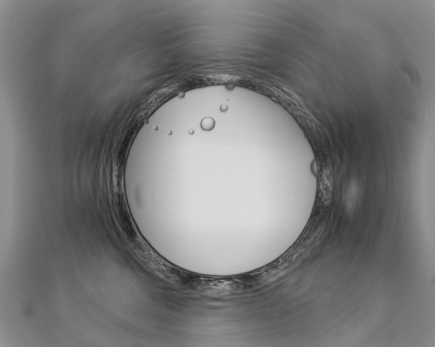 X0000112880330200908211057