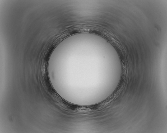 X0000112880331200908211057