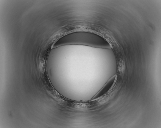 X0000112880332200908211057