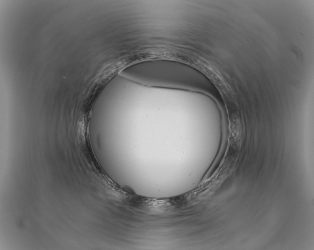 X0000112880333200908211057