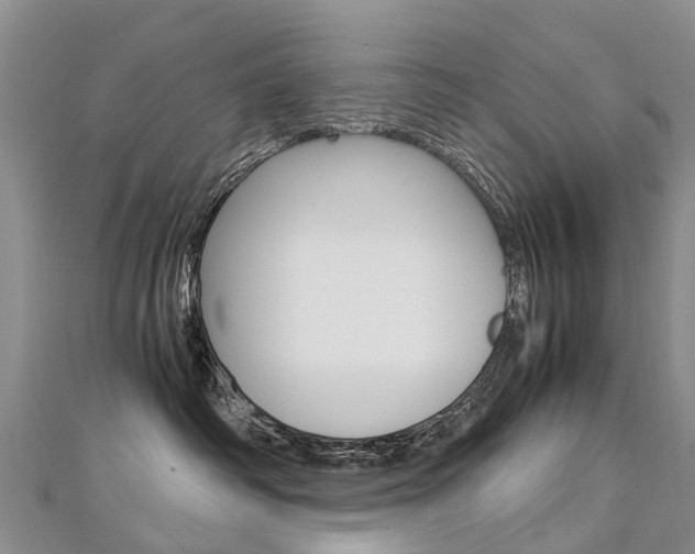 X0000112880334200908211057