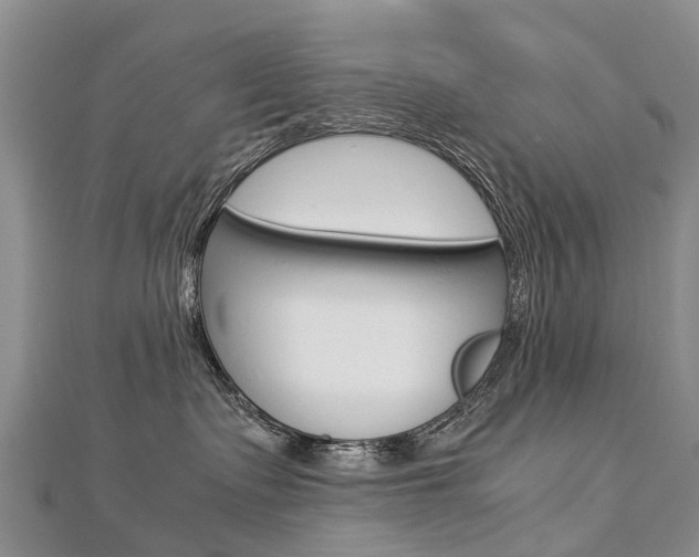 X0000112880335200908211057