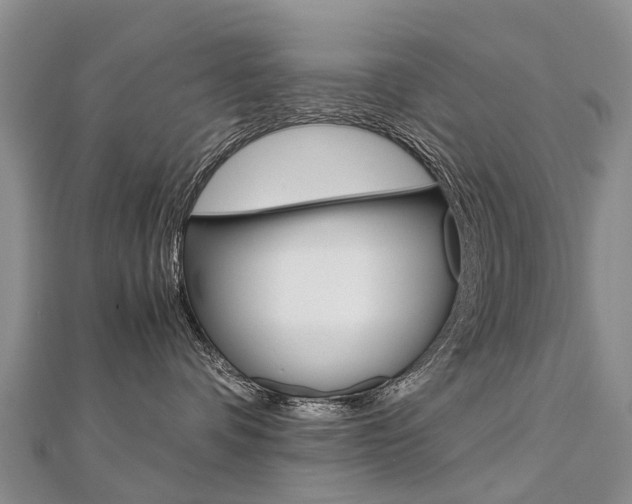 X0000112880336200908211057