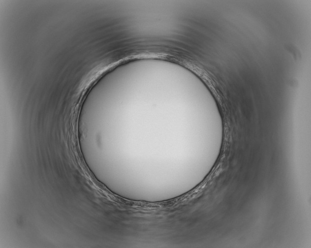 X0000112880337200908211056