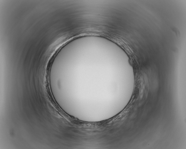 X0000112880338200908211056