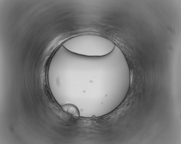 X0000112880339200908211056