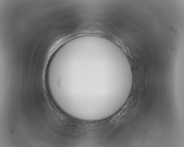 X0000112880340200908211056