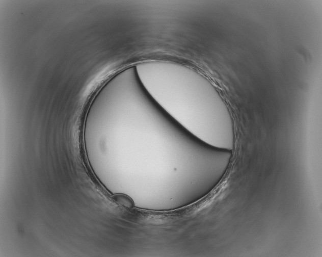 X0000112880341200908211056