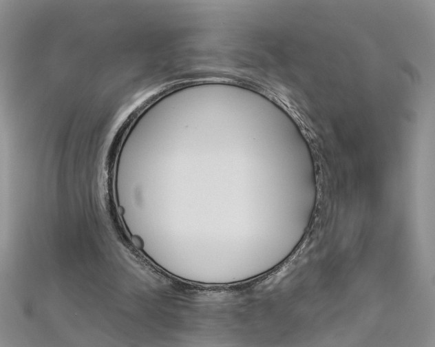 X0000112880342200908211056