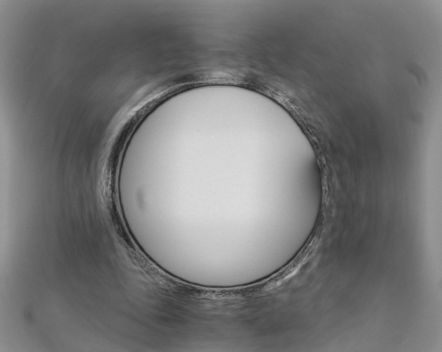 X0000112880343200908211056