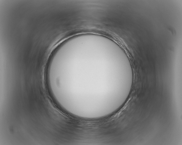 X0000112880344200908211056