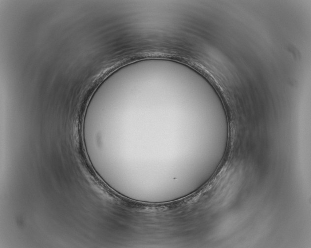 X0000112880345200908211056