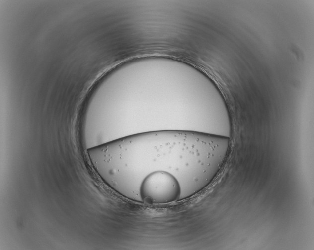 X0000112880346200908211056