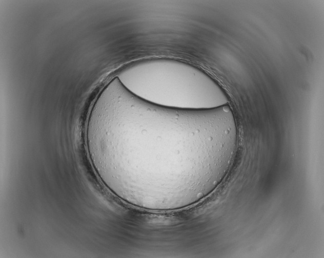 X0000112880347200908211056